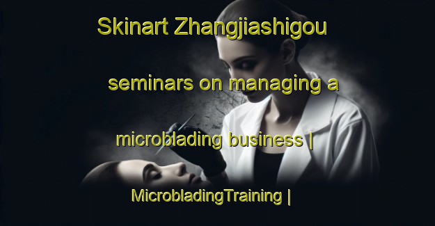Skinart Zhangjiashigou seminars on managing a microblading business | MicrobladingTraining | MicrobladingClasses | SkinartTraining-China